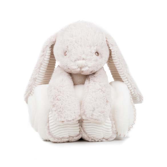 Rabbit and blanket